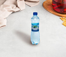 Вода Липецкая газированная