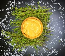 Гриль тейсти