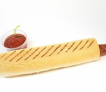 vp1