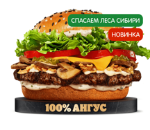 Ангус Сибирский