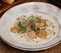 Морские гребешки в трюфельном креме с вешенками