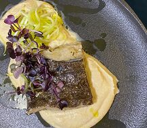 Палтус с кремом из сельдерея