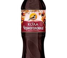 Черноголовка Кола
