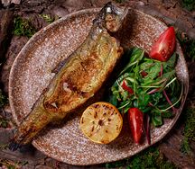 Форель на углях