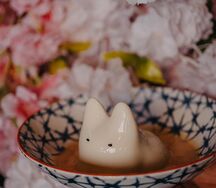 Панна-Котики