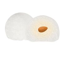 Моти Рафаэлло