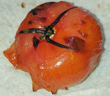 Помидоры на мангале