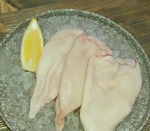 Кальмар командорский