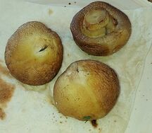 Шампиньоны на мангале