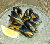 Мидии в белом вине