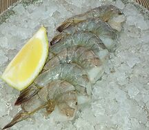 Креветка тигровая крупная