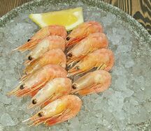 Креветка Северная