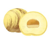 Моти Баноффи-пай 