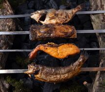 Карп зеркальный