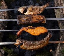 Форель речная