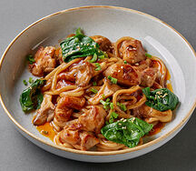 Удон с курицей 5 специй