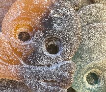 Череп гигантский