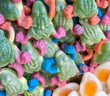 Тропическая лягушка