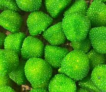 Ягоды в зеленой обсыпке