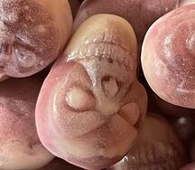 Черепа с начинкой