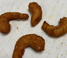 Креветки темпура