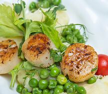 Гребешки с трюфельным пюре и зеленым горошком