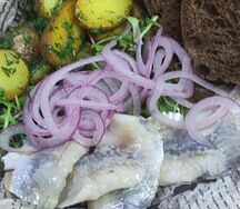 Атлантическая сельдь