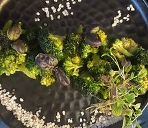 Брокколи на гриле