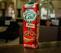 Морс Фруктовый сад