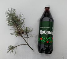 Добрый Сибирские травы