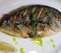 Безмолвная дорадо