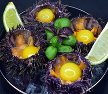 Морской еж