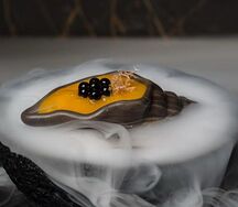 Ракушка