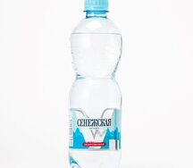 Вода минеральная Сенежская газированная