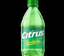 Бочкари Citrus