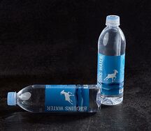 Вода Baggins Water