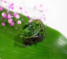 Гункан Чука