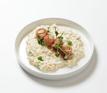 Сливочный ризотто с морским гребешком и беконом