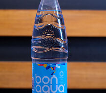 Бон Аква 0,5 б/г