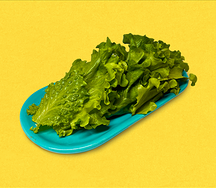 Листья салата