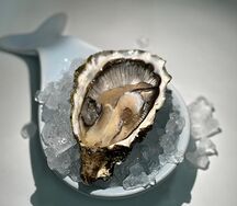 Устрица Ромаринка