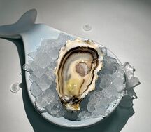 Устрица Розовая Джоли