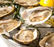 Сет Живая устрица Розовая Джоли