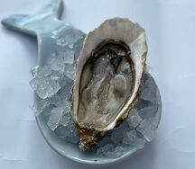 Устрица Фин де Клер 