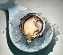 Устрица Моана