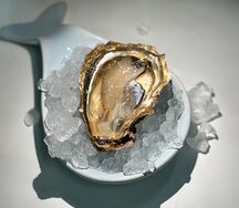 Устрица Маака