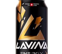 Lavina Energy 