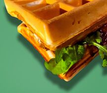 Пекинская утка