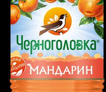 Черноголовка мандарин