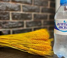 Вода природная питьевая артезианская Алтай Аква газированная